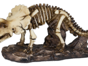 FIGURA DE RESINA ESQUELETO DINOSAURIO 17 cm. COD: 39617