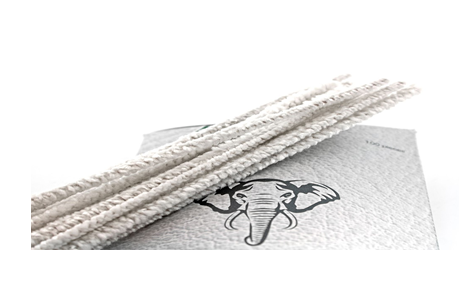 ESTUCHE 100 ESCOBILLAS ALGODON WHITE ELEPHANT - Imagen 2