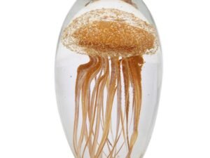 PISAPAPELES MEDUSA EN VIDRIO MOD: NARANJA. MULTICOLOR. 7 X 7 X 11 CM. COD: 27963