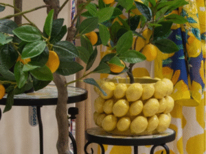 MACETERO MOD: LIMONES. PEQUEÑO. COD: 35123